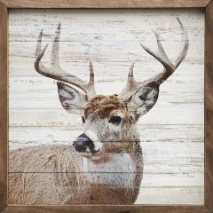 Whitetail Whitewash Wall Art