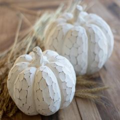 Whitewash Decorative Tabletop Pumpkins Set of 2