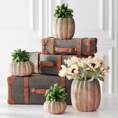 Whitewashed Cement Pumpkin Pot Set of 2