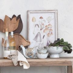 Whitewashed Framed Mushroom Print Set of 2