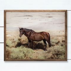 Wild Horse Wall Art
