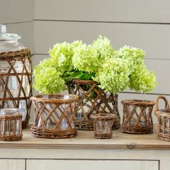 Willow Curved Flower Vase