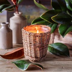 Willow Wrapped Glass Jar Candle Collection Grand Magnolia