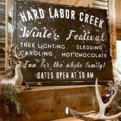Winter Festival Canvas Wall Art by Beth Shady