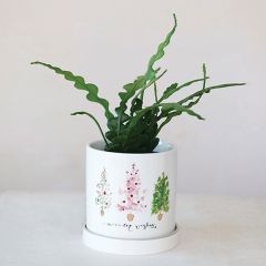 Winter Wishes Planter Pot with Saucer Set of 2