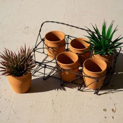Wire Basket Planter with Pots Set of 2