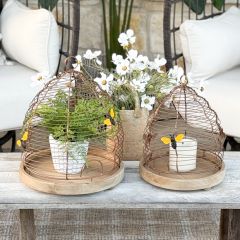 Wire Beehive Cloche Set of 2