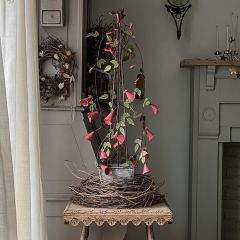 Wire Trumpet Vines On Potted Trellis