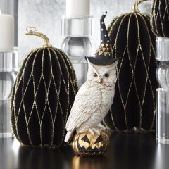 Wizard Owl Perched On Jack O Lantern