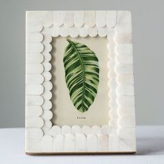 Wood and Horn Scalloped Frame