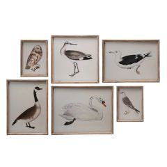 Wood Framed Bird Print Set of 6