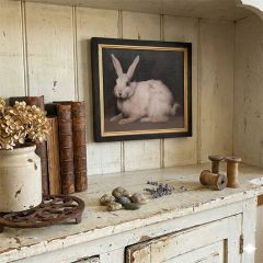 Wood Framed Handsome Rabbit Print