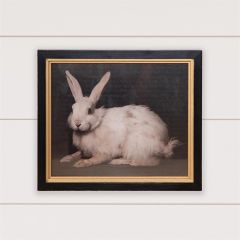 Wood Framed Handsome Rabbit Print