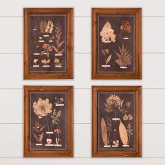 Wood Framed Leaf Botanical Wall Art Set of 4