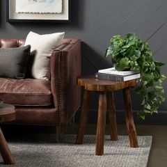 Woodland Live Edge Side Table