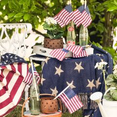 Woven Jacquard Stars Reversible Throw Blanket