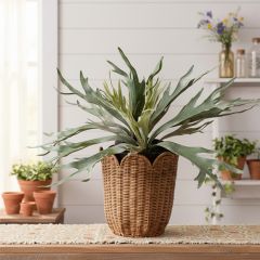 Woven Rattan Scalloped Edge Basket