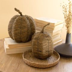 Woven Textured Tabletop Pumpkins Set of 2