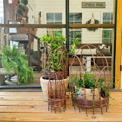 Woven Willow Decorative Cloche Trellis Set of 3