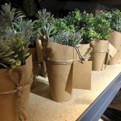 Wrapped Artificial Potted Herbs Set of 4