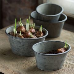 Zinc Oval Planter Pot Set of 2