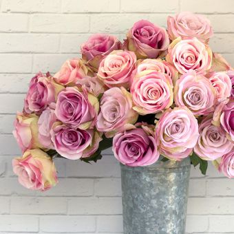 3 Stem Summer Garden Rose Bundle