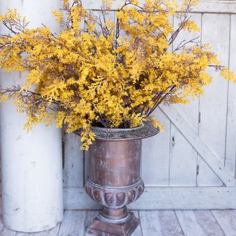 Fall Cedar Stem Set of 3