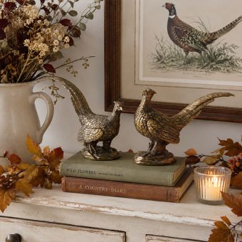 Decorative Pheasant Figurine Set of 2