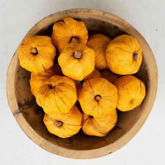 Dried Decorative Mini Pumpkins Set of 15 Orange