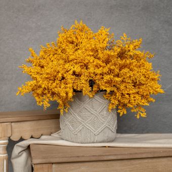 Fall Golden Rod Bush Bundle
