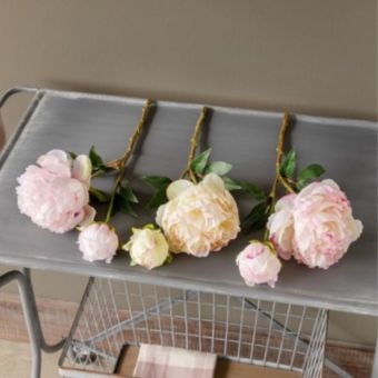 Faux Cut Peony Set of 6