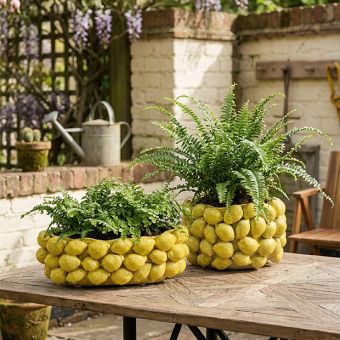 Reactive Glaze Layered Lemon Ceramic Dish Collection