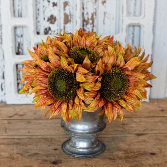 Decorative Amber Sunflower Set of 6