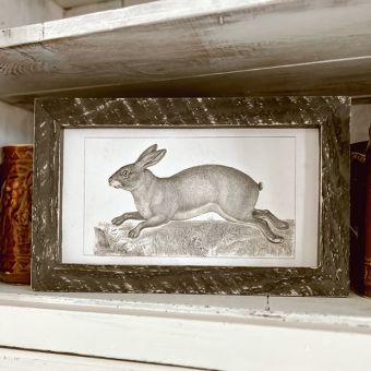 Rustic Framed Vintage Long Ear Bunny Wall Art