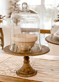 glass-bell-jar-cloche-with-