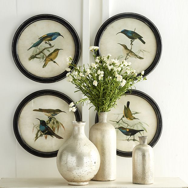 Bird Prints With Weathered Frames Set of 4