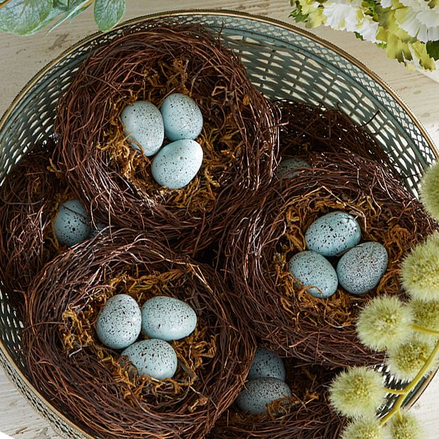 Blue shop speckled egg