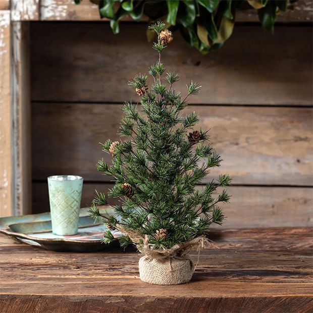 Burlap Wrapped Spruce Seedling Tree 18 Inch | Antique Farmhouse