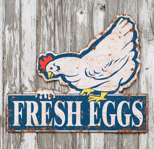 TIN SIGN Fresh Eggs 50c Metal Décor Chicken Pen Farm Store Market Kitchen A825 