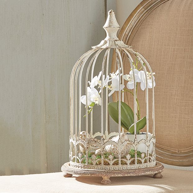 Decorative Birdcage Cloche