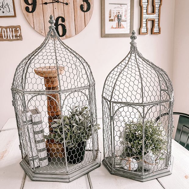 Simple bird cage shop