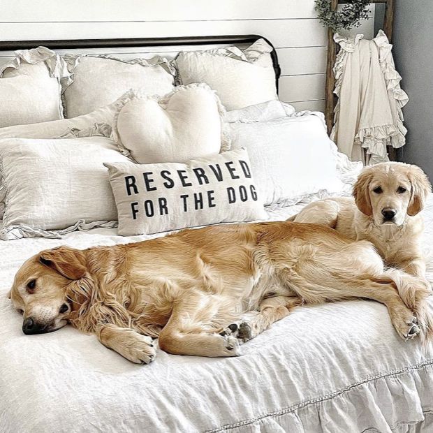 Reserved For The Dog Accent Pillow Antique Farmhouse