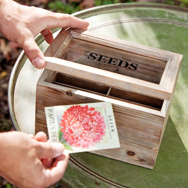 Hand Carved Seed Storage Box - Terrain