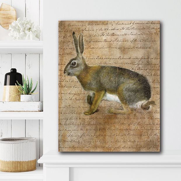 Vintage Rabbit I Canvas Wall Art | Antique Farmhouse