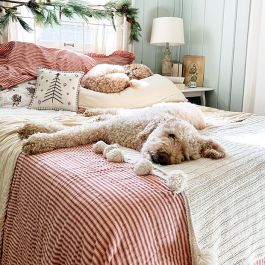 Farmhouse Classics Ticking Stripe Quilt Coverlet - KING