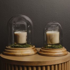Glass Bell Cloche on Wood Base Set of 2 | Antique Farmhouse