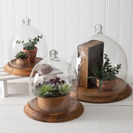 Glass Bell Cloche With Wooden Base | Antique Farmhouse