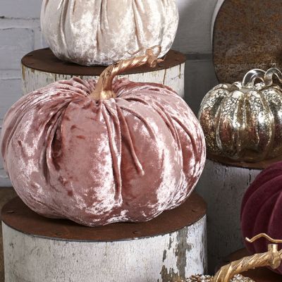 Blush Velvet Pumpkin With Metallic Stem