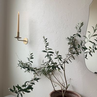 Classic Accents Brass Plated Taper Wall Sconce