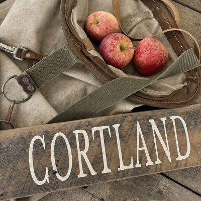 Cortland Handmade Weathered Wood Barn Sign